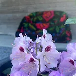 Les Du Valjoly Tatil Evi