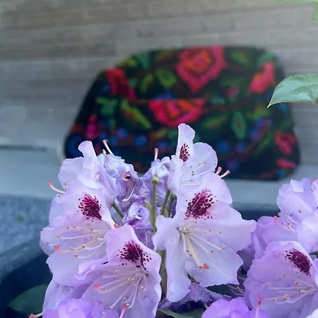 Les Du Valjoly Holiday home