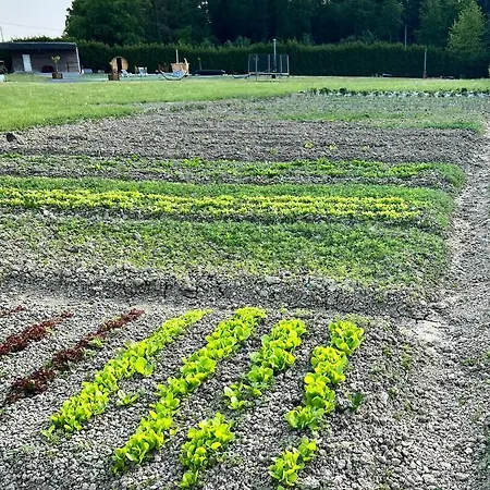 Les Du Valjoly Touvent