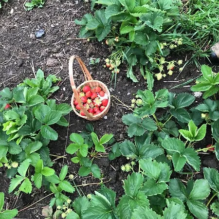 Holiday home Les Du Valjoly